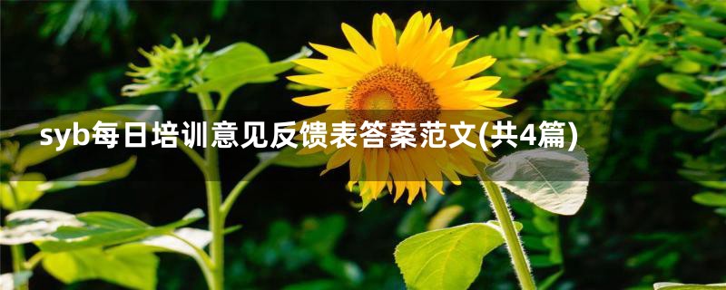 syb每日培训意见反馈表答案范文(共4篇)
