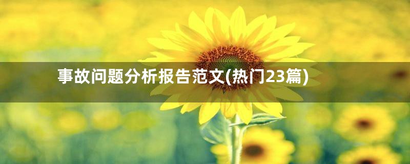事故问题分析报告范文(热门23篇)