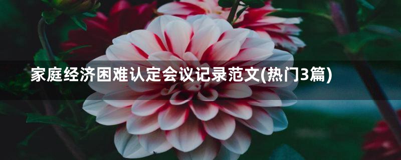 家庭经济困难认定会议记录范文(热门3篇)