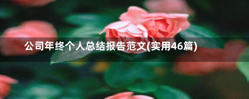 公司年终个人总结报告范文(实用46篇)
