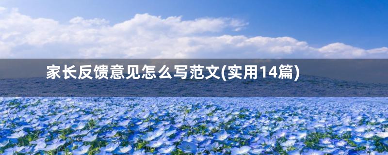 家长反馈意见怎么写范文(实用14篇)