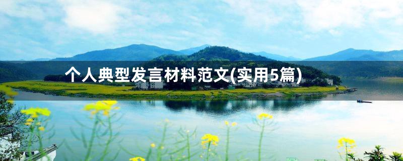 个人典型发言材料范文(实用5篇)