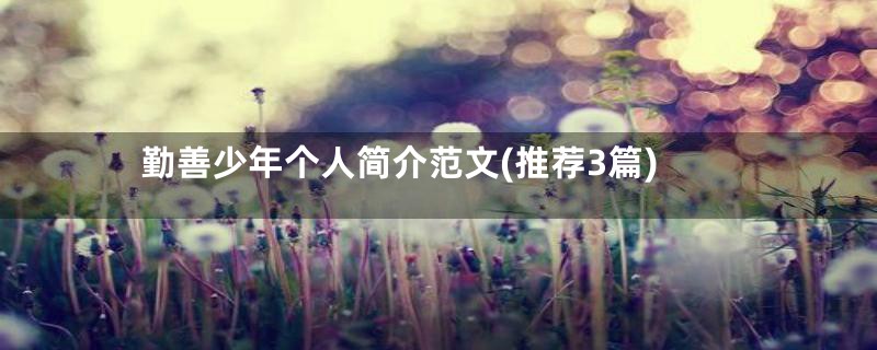 勤善少年个人简介范文(推荐3篇)