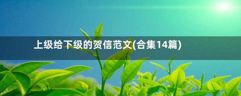 上级给下级的贺信范文(合集14篇)
