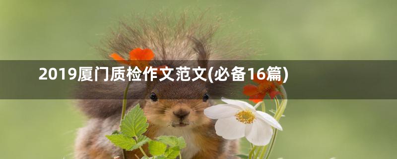 2019厦门质检作文范文(必备16篇)