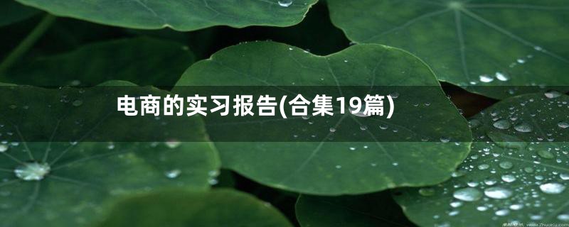 电商的实习报告(合集19篇)