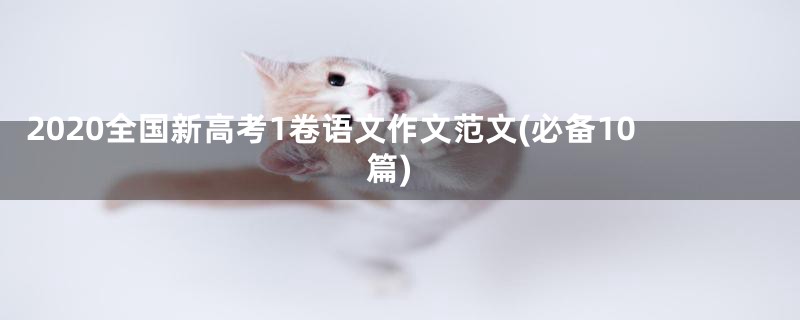 2020全国新高考1卷语文作文范文(必备10篇)