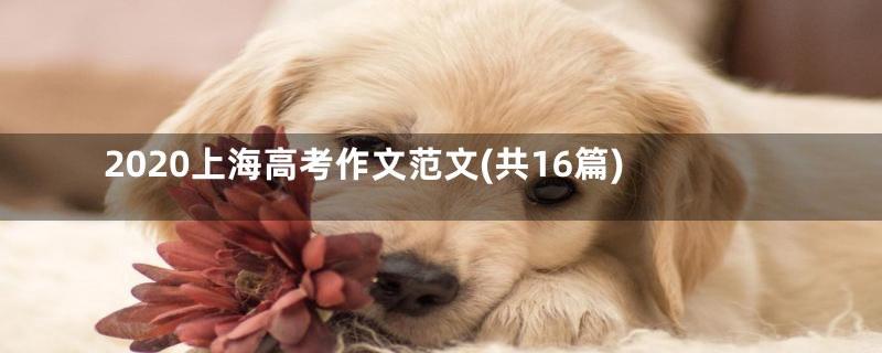 2020上海高考作文范文(共16篇)