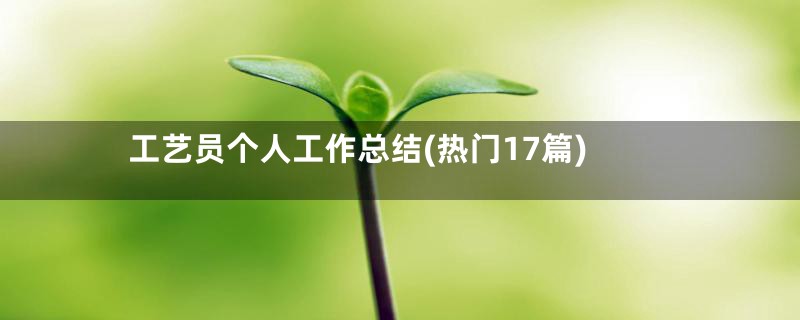 工艺员个人工作总结(热门17篇)