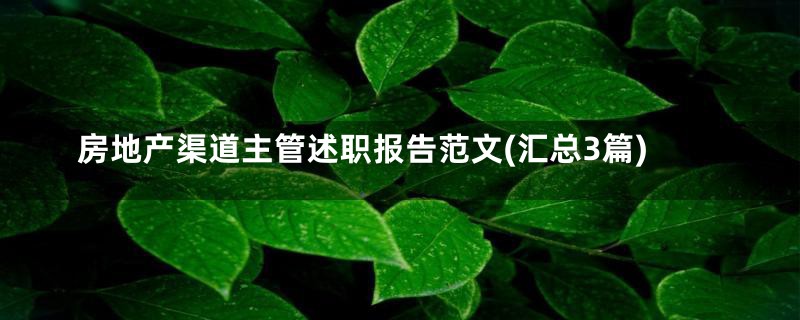 房地产渠道主管述职报告范文(汇总3篇)