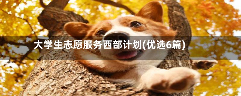 大学生志愿服务西部计划(优选6篇)