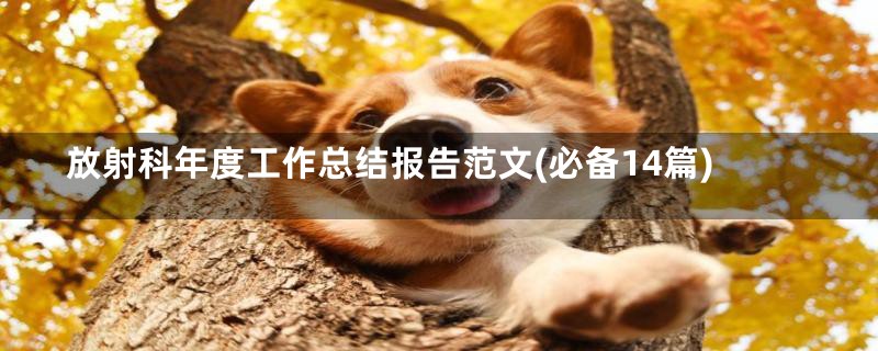 放射科年度工作总结报告范文(必备14篇)