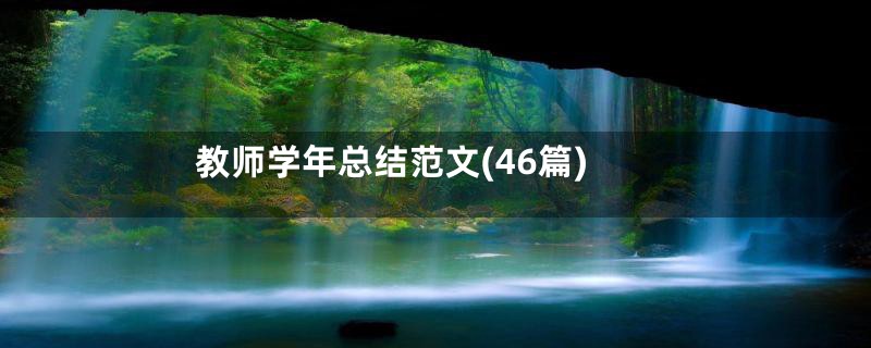教师学年总结范文(46篇)