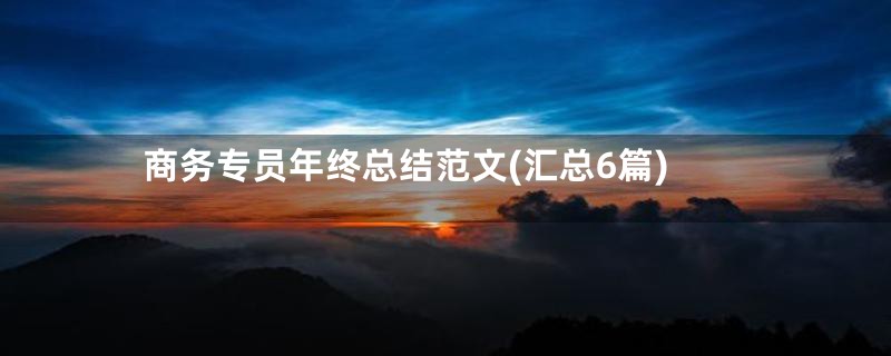 商务专员年终总结范文(汇总6篇)