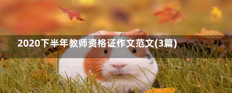 2020下半年教师资格证作文范文(3篇)