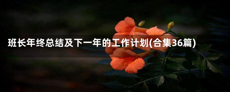 班长年终总结及下一年的工作计划(合集36篇)