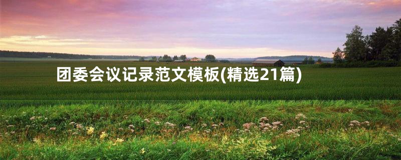 团委会议记录范文模板(精选21篇)