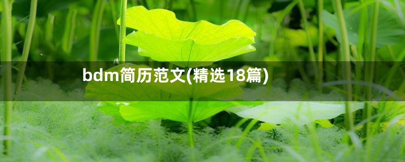 bdm简历范文(精选18篇)