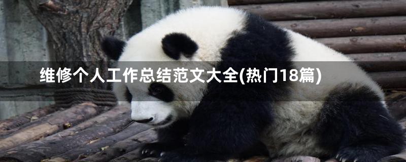 维修个人工作总结范文大全(热门18篇)