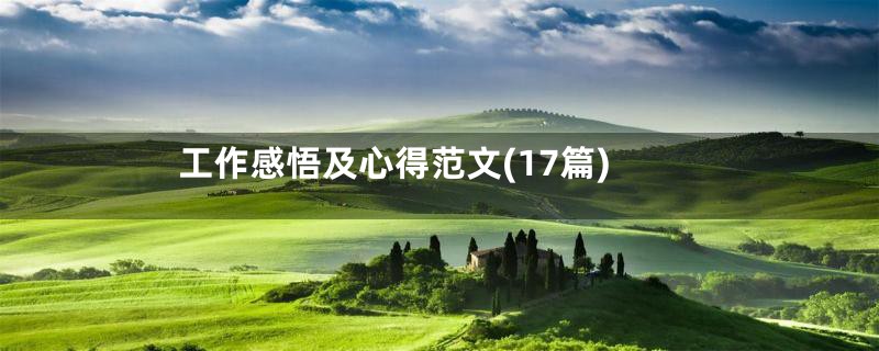 工作感悟及心得范文(17篇)