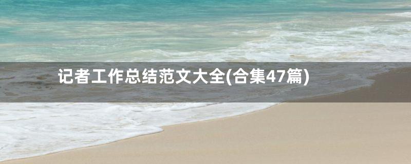 记者工作总结范文大全(合集47篇)