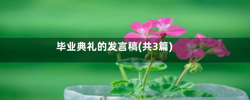 毕业典礼的发言稿(共3篇)