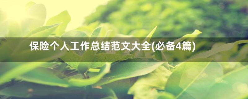 保险个人工作总结范文大全(必备4篇)