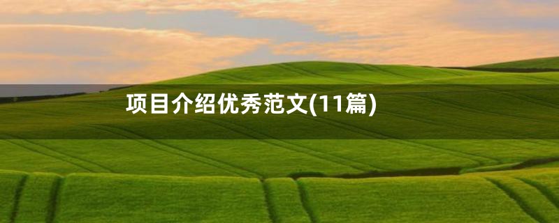 项目介绍优秀范文(11篇)