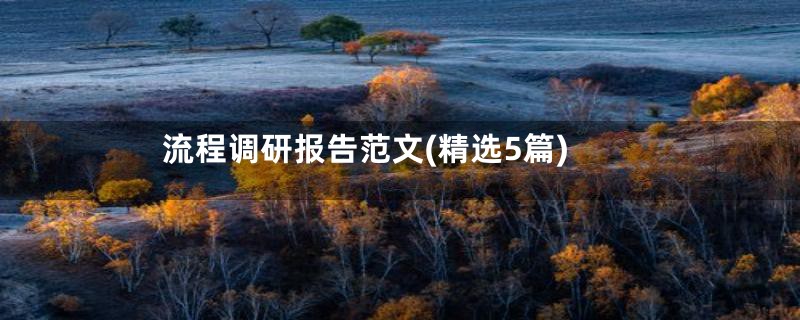 流程调研报告范文(精选5篇)