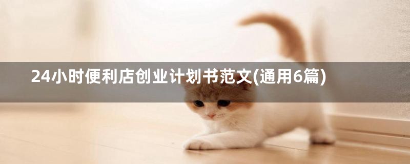 24小时便利店创业计划书范文(通用6篇)