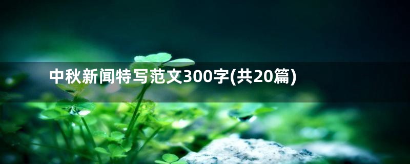 中秋新闻特写范文300字(共20篇)