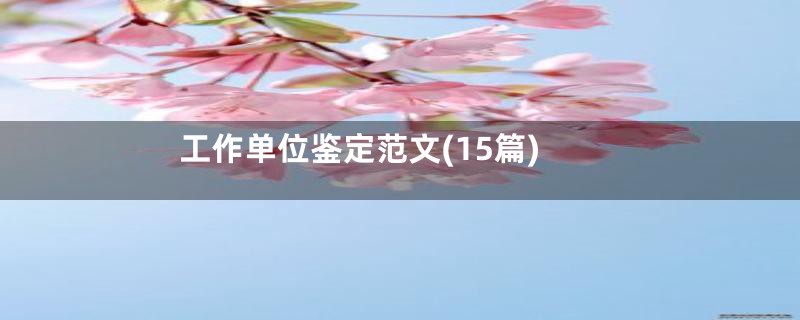 工作单位鉴定范文(15篇)