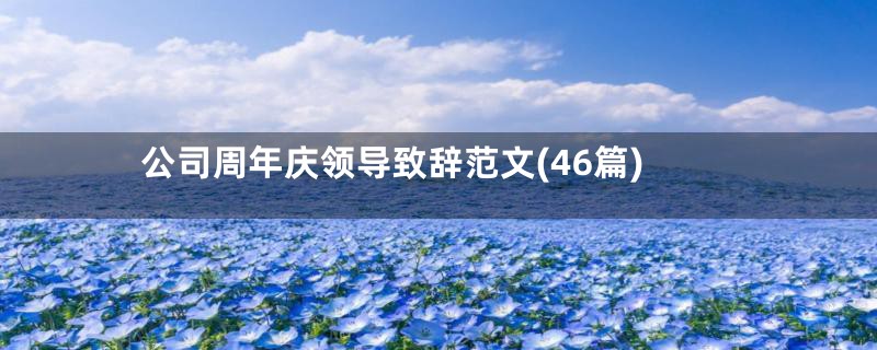 公司周年庆领导致辞范文(46篇)