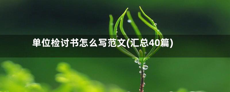 单位检讨书怎么写范文(汇总40篇)