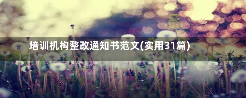 培训机构整改通知书范文(实用31篇)