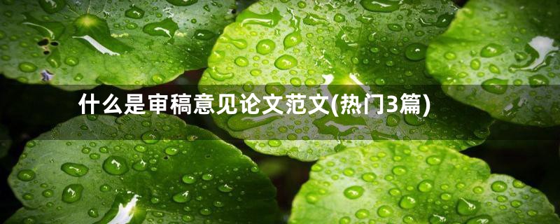 什么是审稿意见论文范文(热门3篇)