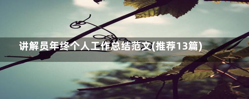 讲解员年终个人工作总结范文(推荐13篇)