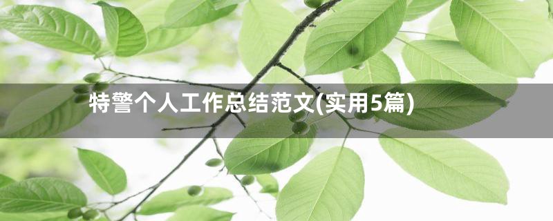 特警个人工作总结范文(实用5篇)