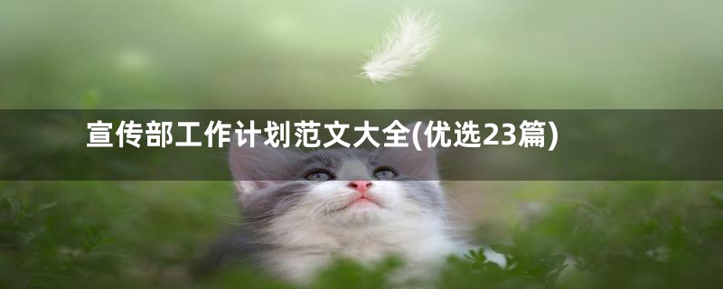 宣传部工作计划范文大全(优选23篇)
