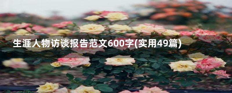 生涯人物访谈报告范文600字(实用49篇)