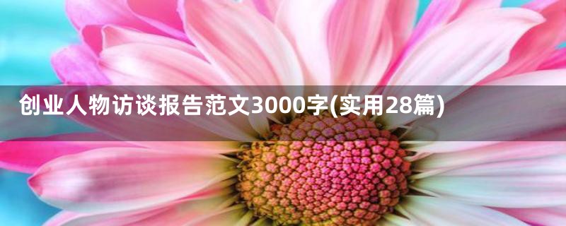 创业人物访谈报告范文3000字(实用28篇)