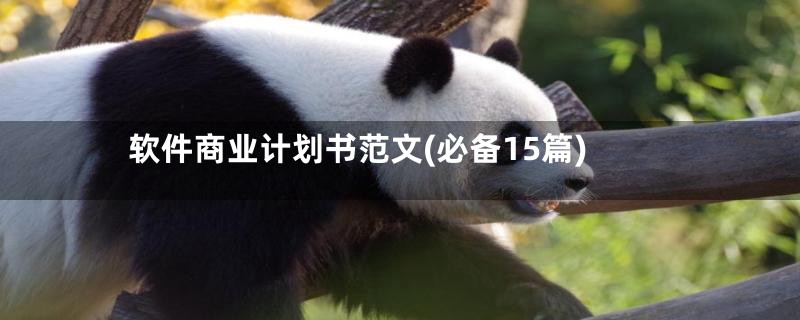 软件商业计划书范文(必备15篇)