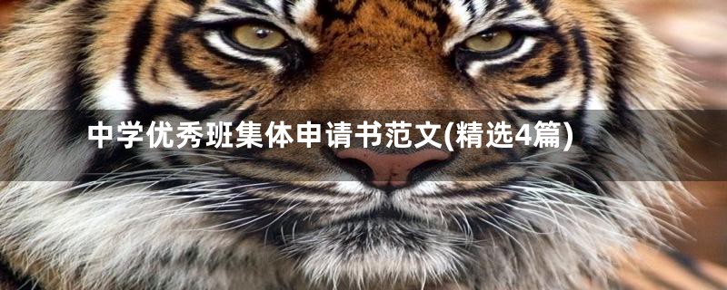 中学优秀班集体申请书范文(精选4篇)
