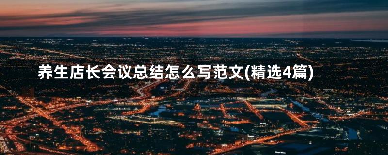 养生店长会议总结怎么写范文(精选4篇)