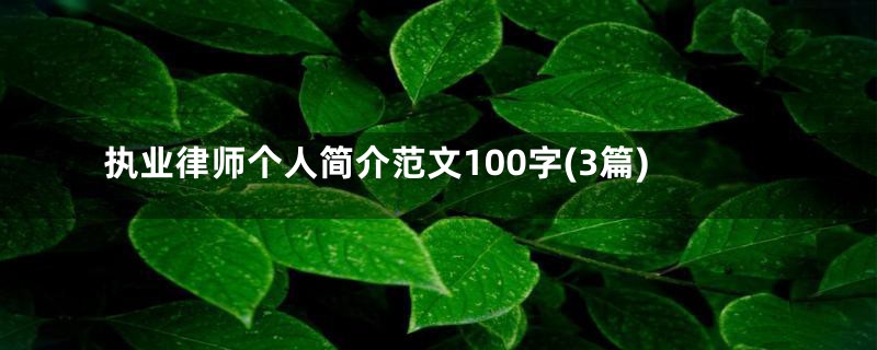 执业律师个人简介范文100字(3篇)