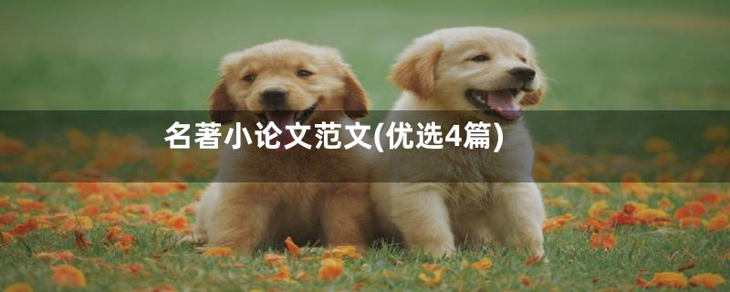 名著小论文范文(优选4篇)