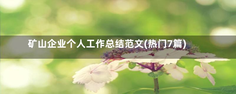 矿山企业个人工作总结范文(热门7篇)