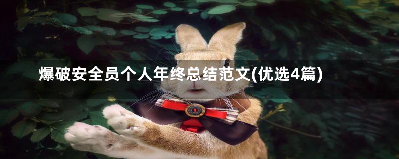 爆破安全员个人年终总结范文(优选4篇)