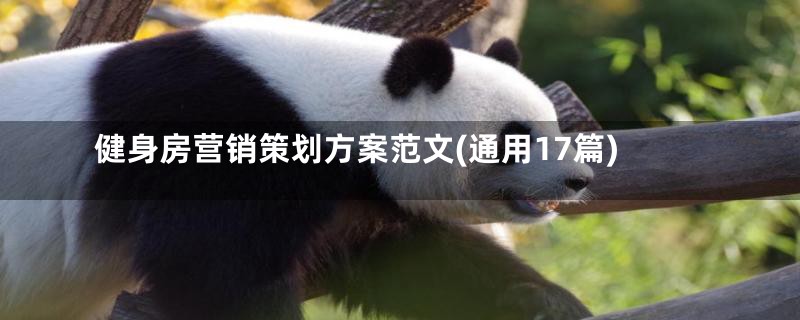 健身房营销策划方案范文(通用17篇)