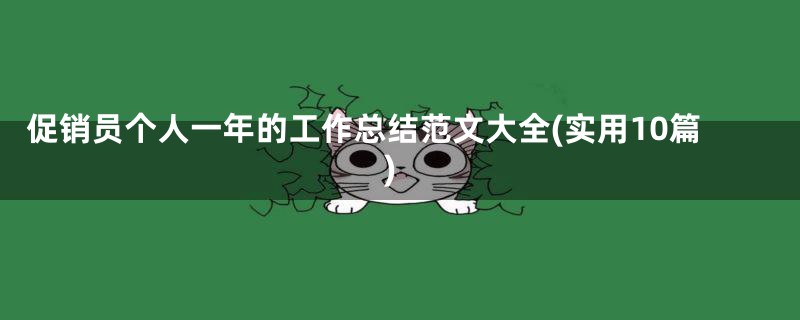 促销员个人一年的工作总结范文大全(实用10篇)